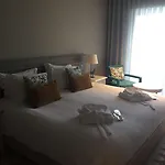 The Lince
