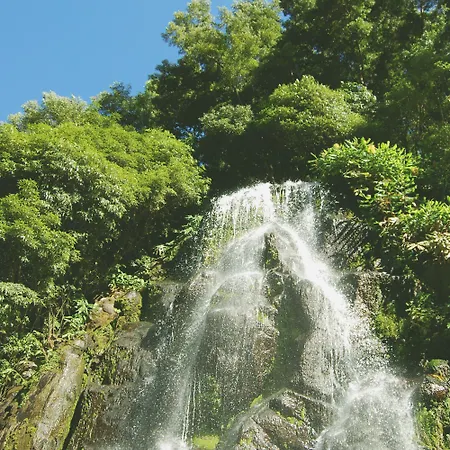 The Lince 诺德什蒂