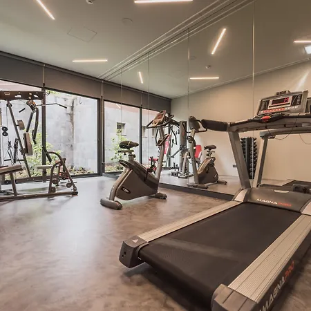 The Lince 诺德什蒂