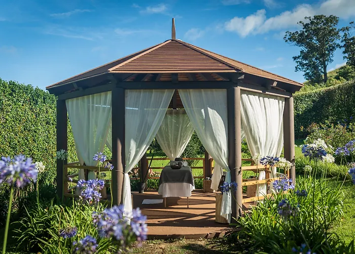 The Lince ノルデスチ